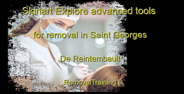 Skinart Explore advanced tools for removal in Saint Georges De Reintembault | RemovalTraining | RemovalClasses | SkinartTraining-France